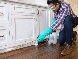 Best Real Estate Pest Inspections  in Merrillville, IN