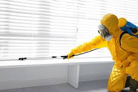 Best Termite Inspection and Treatment  in Merrillville, IN